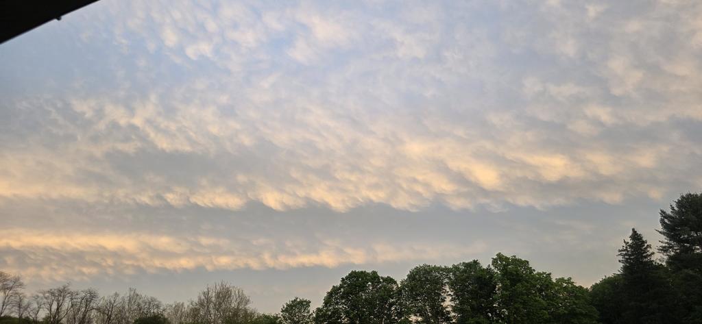 CatFin45's tweet photo. @epaleezeldin @GovCox Hey @leemzeldin, constant chemical clouds over our heads daily. Must be your hands are tied just like eveyone in this damn administration. Either they resign, get fired, or lie because they can't do their job. What happened to your transparency??? https://t.co/Zx4mAxu8c5