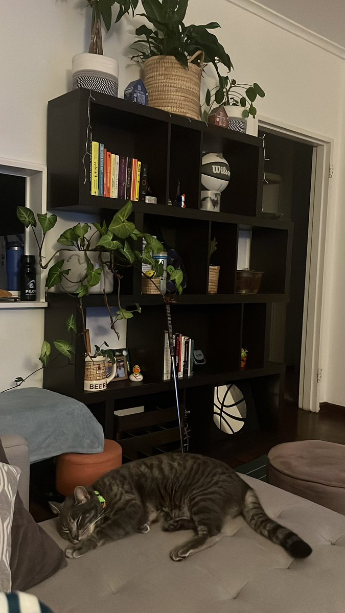 LeeMurDoc_K's tweet photo. Melo’s Penthouse https://t.co/8fZLB4UjSl