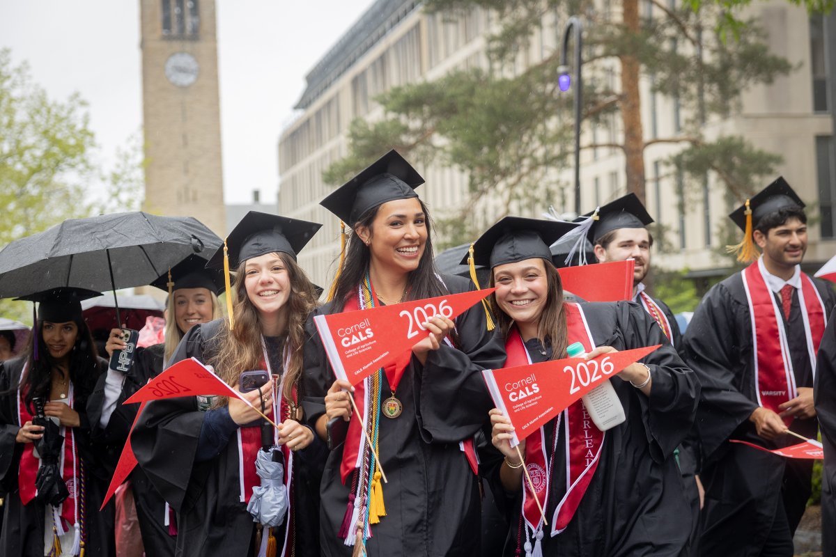 Cornell University tweet media
