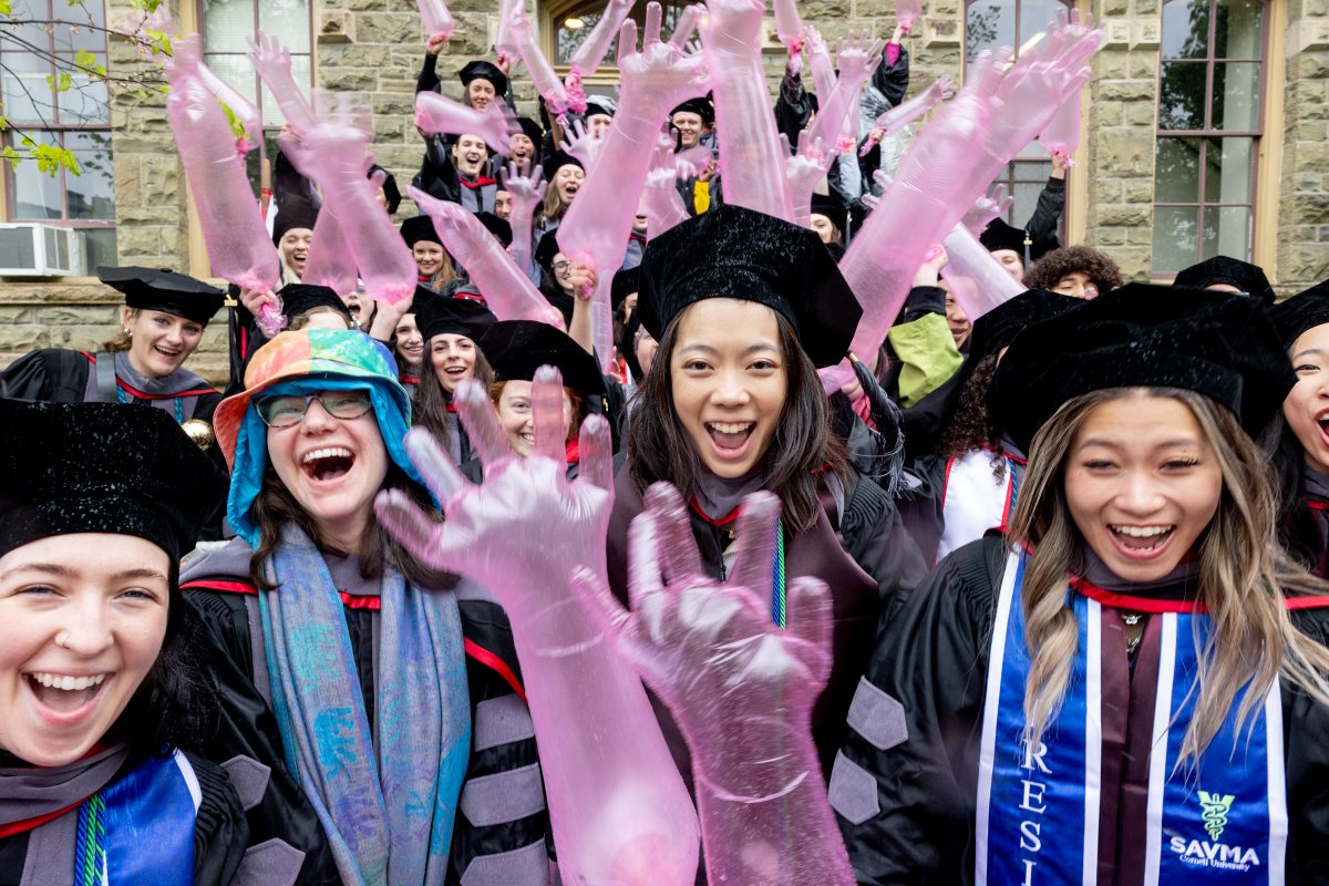 Cornell University tweet media