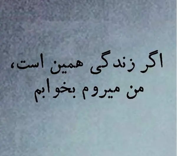 NO CONTEXT HUMANS PERSIAN tweet media