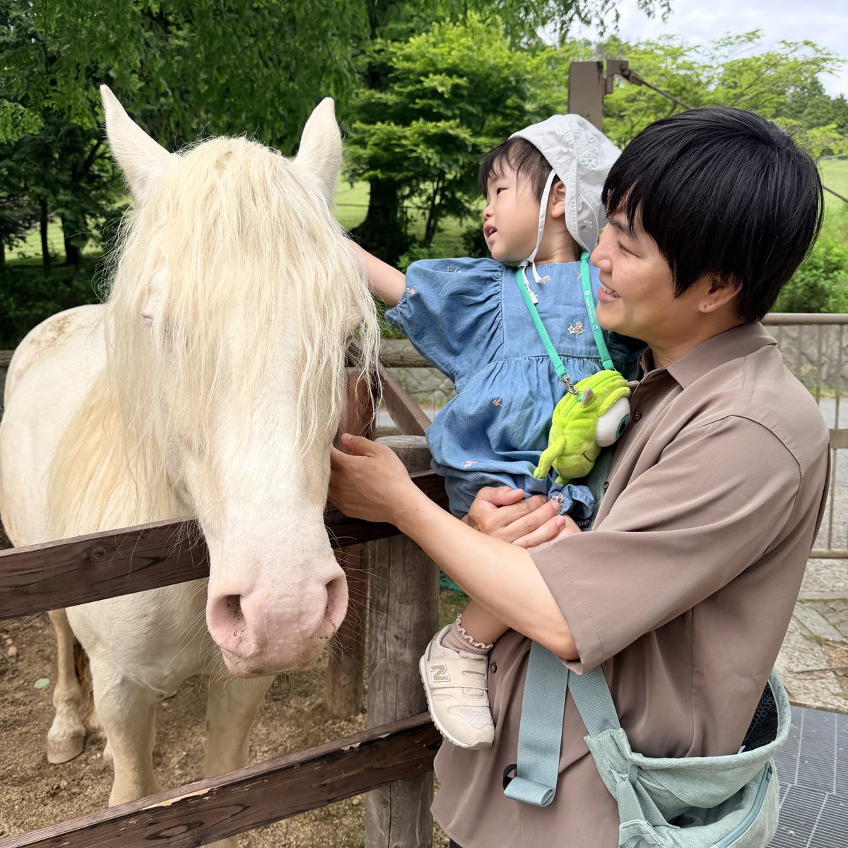 123ema123's tweet photo. #六甲山牧場　はじめて行ってきた✨
羊さんたくさん🐏
#シープレース　的中して
50周年記念ハイチュウ貰った´｀＊ https://t.co/5nemsg946T