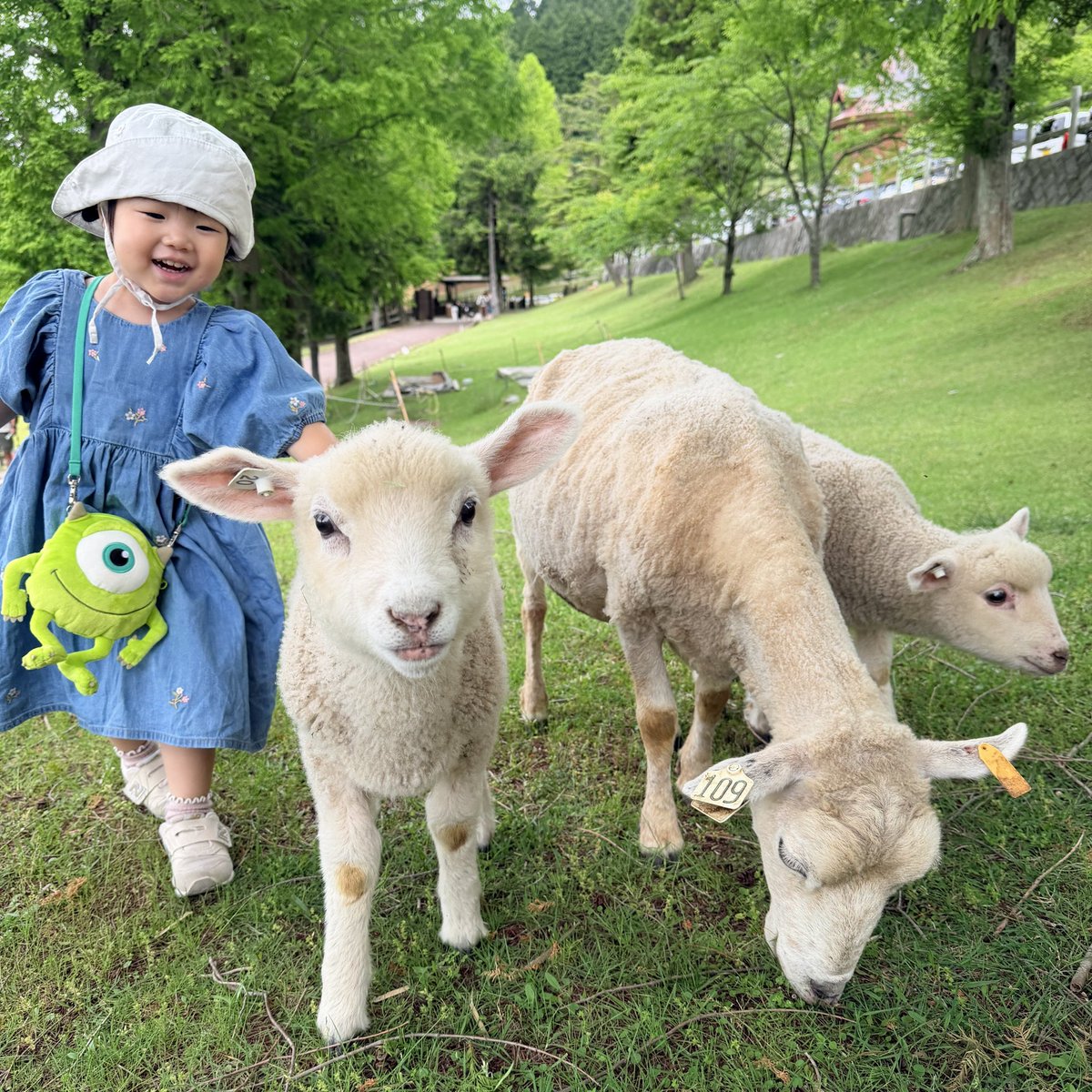 123ema123's tweet photo. #六甲山牧場　はじめて行ってきた✨
羊さんたくさん🐏
#シープレース　的中して
50周年記念ハイチュウ貰った´｀＊ https://t.co/5nemsg946T