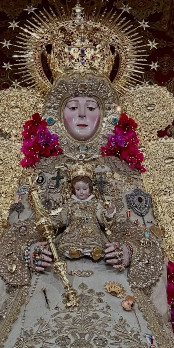 CSBLM2's tweet photo. En unas horitas estoy allí, Mamá. Nerviosita perdía 💚 #rocio2026 https://t.co/NpkvwZRTbw