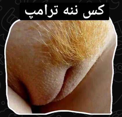 Persian Liver tweet media