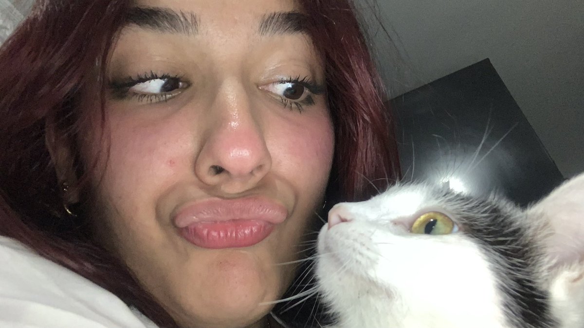 🐈⬛ tweet media
