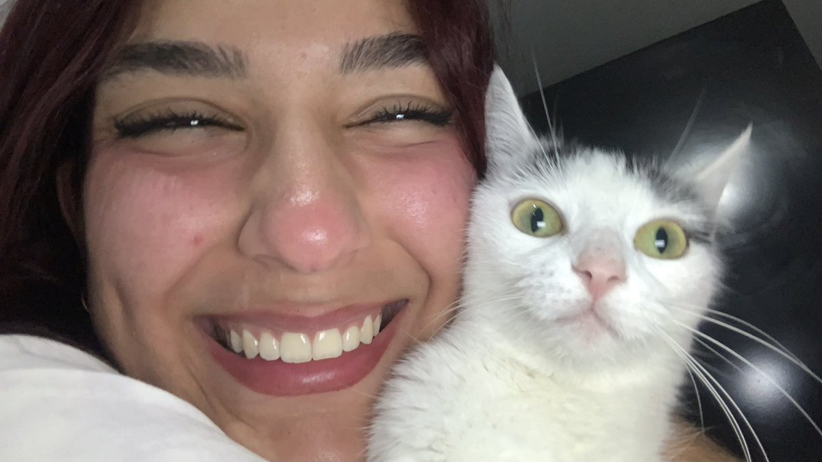 🐈⬛ tweet media