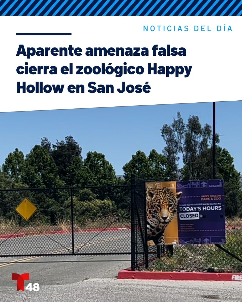 Telemundo 48 tweet media