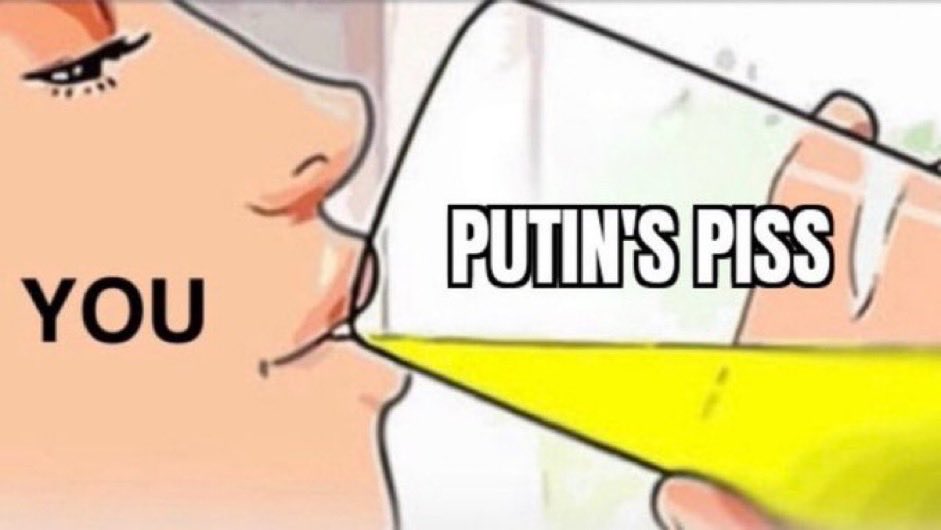 Corgi Fella Все Буде Україна tweet media