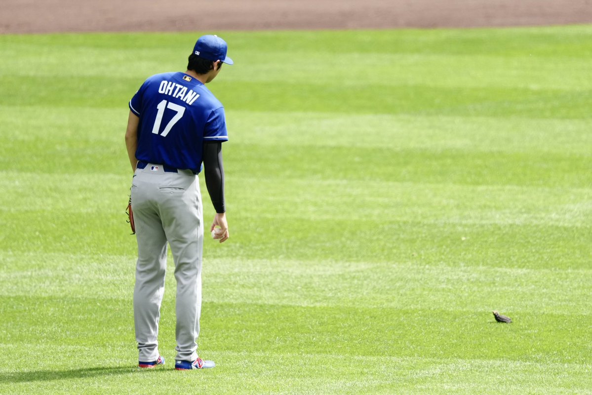 Full-Count MLB取材班 tweet media