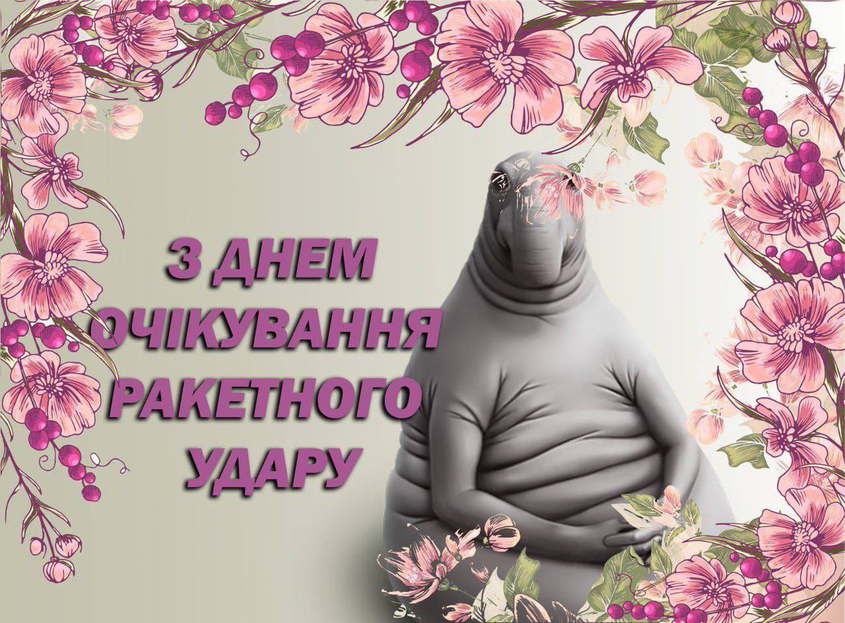 this_is_fedir's tweet photo. @Other_ti_pidor https://t.co/yv3pJs0B2u