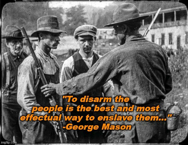 2A.org Human Right to Arms📜🔫 tweet media