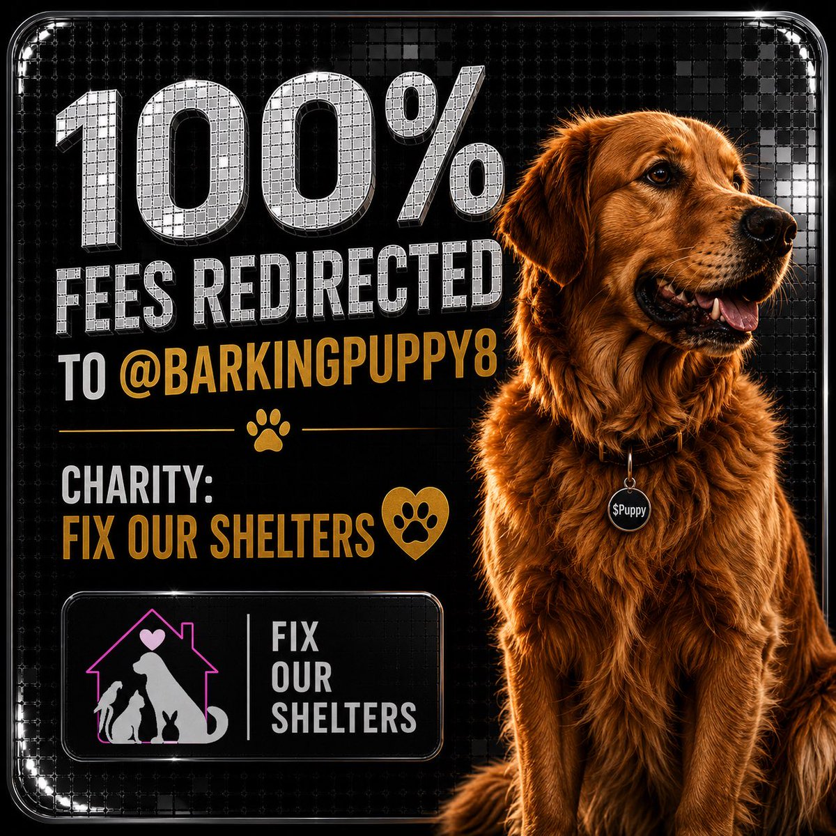 Barking Puppy tweet media