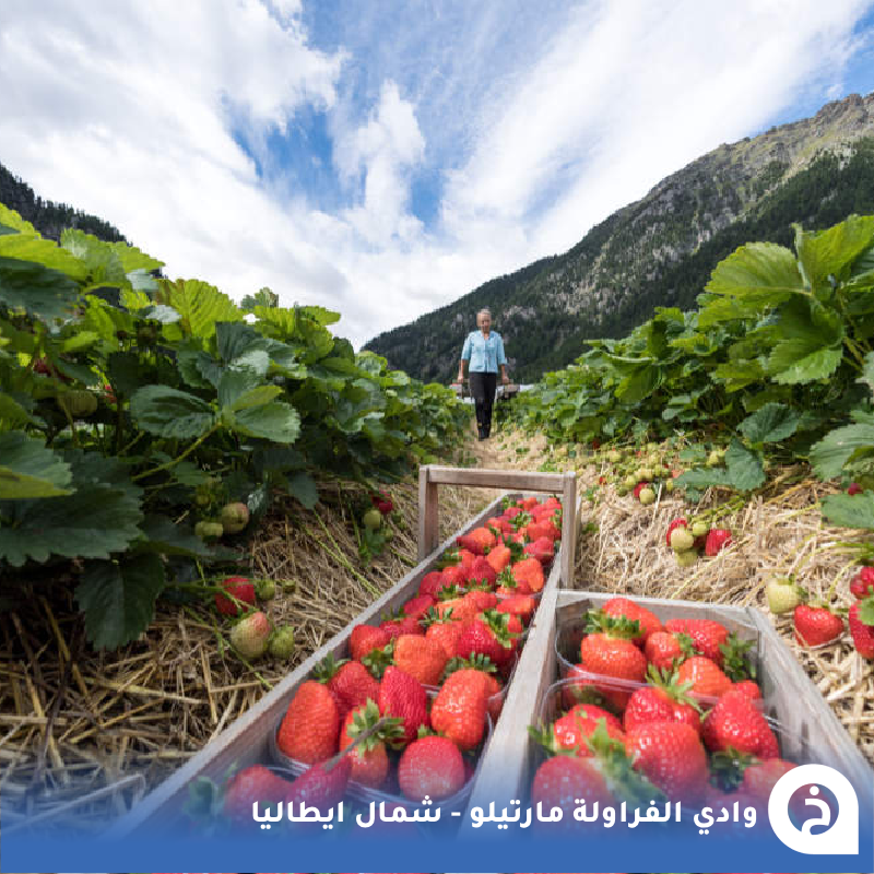 الخرائط السياحية ∣ TᴏᴜʀɪsᴛMᴀᴘs tweet media