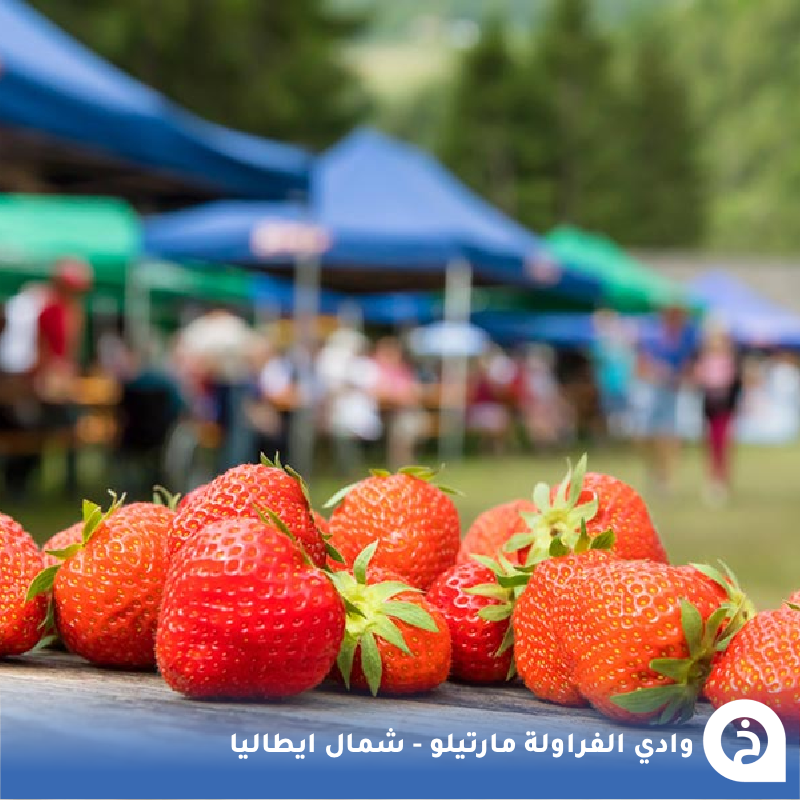 الخرائط السياحية ∣ TᴏᴜʀɪsᴛMᴀᴘs tweet media