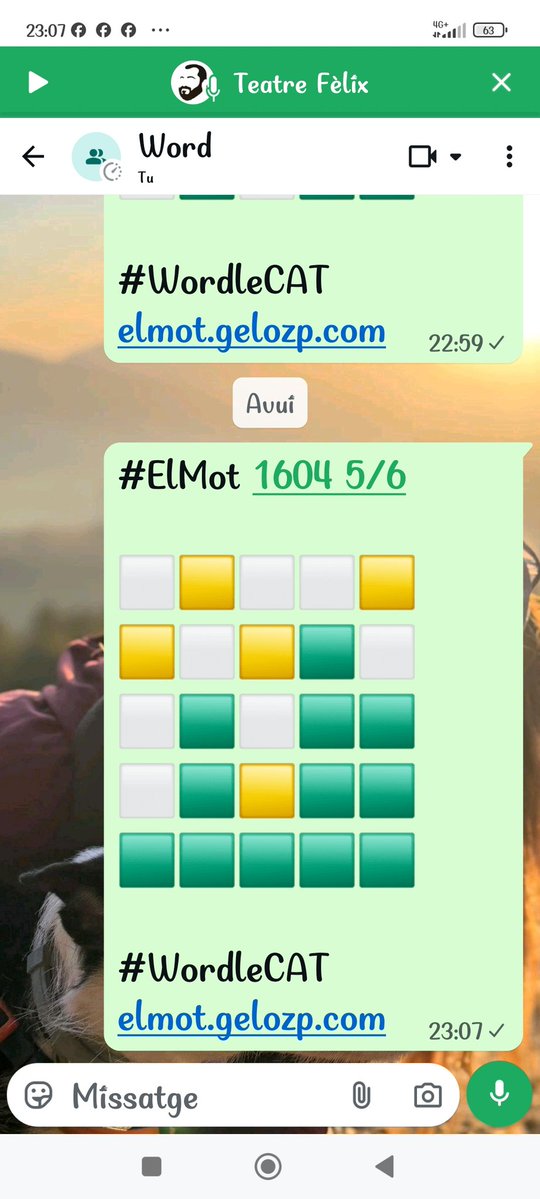Guinardovina tweet media