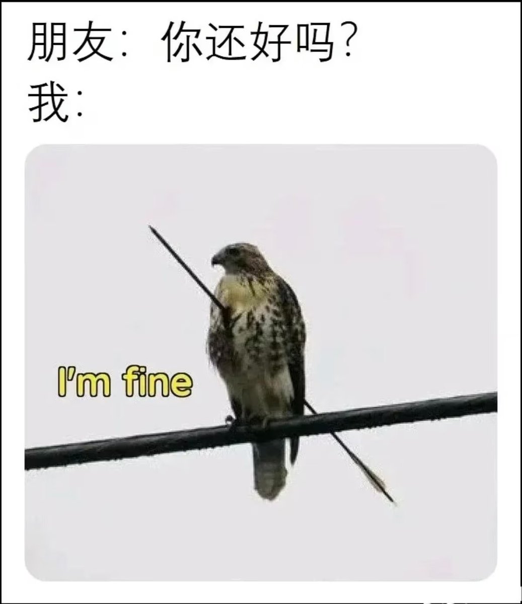 雲鳩 tweet media