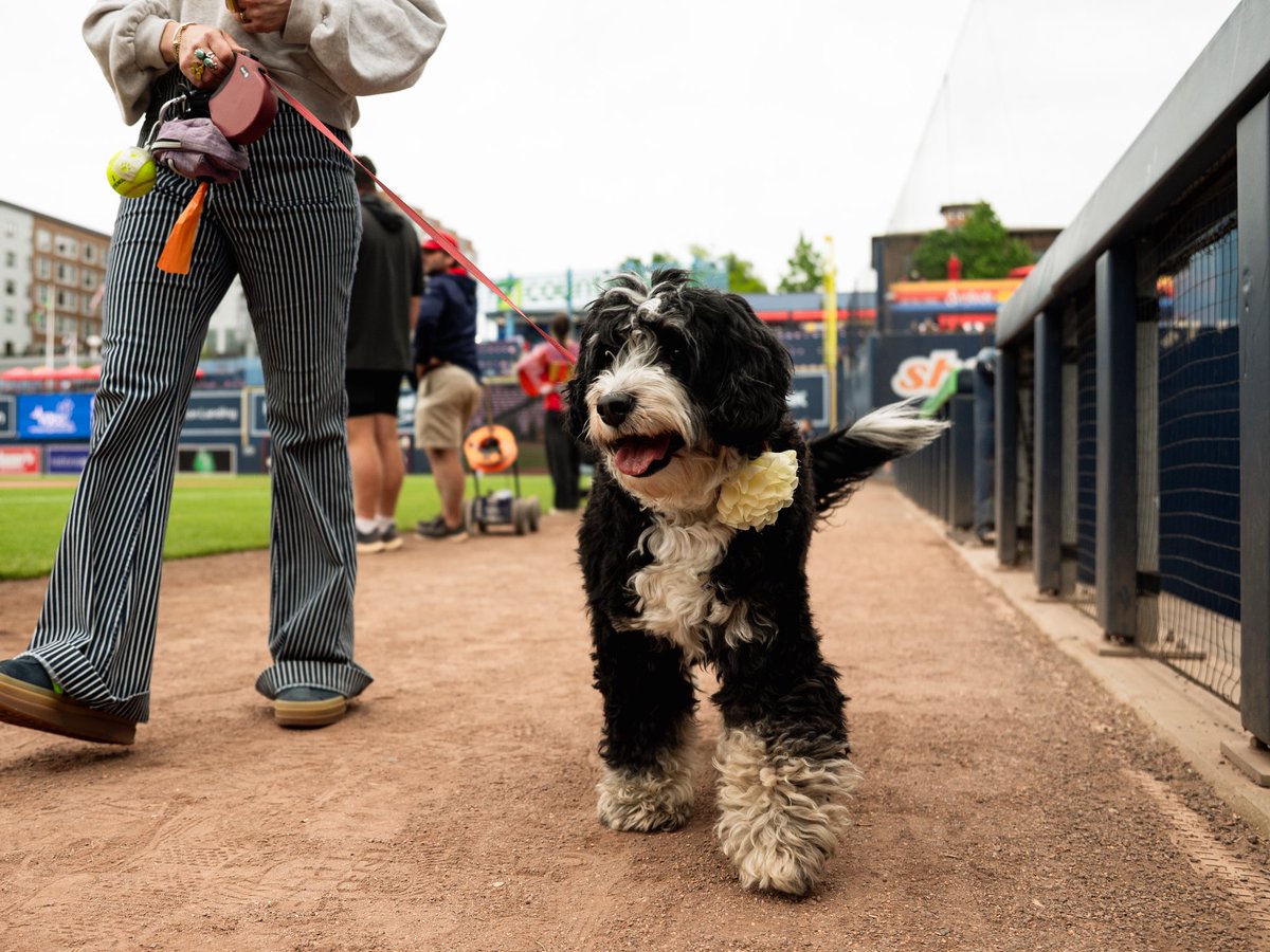 Worcester Red Sox tweet media