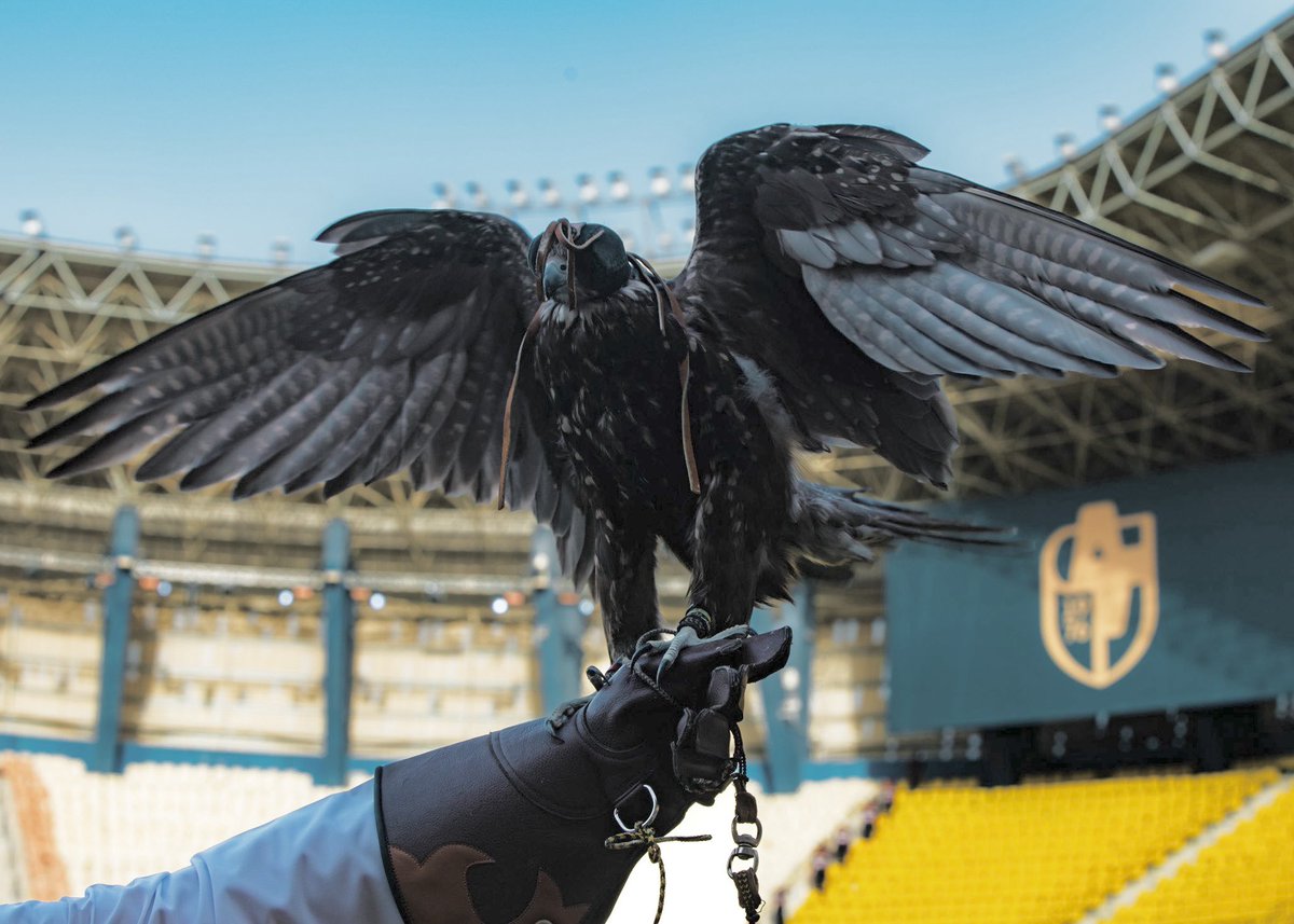 mod_sj's tweet photo. ابي اليا جو لابتي ينتخــوني
في ساعةٍ حامت طيور المنايا 🤎🦅

• أبارك لصاحب السمو الملكي 
الأمير راكان بن سلمان بن عبدالعزيز آل سعود
محافظ #الدرعية 
ولصاحب السمو الأمير خالد بن محمد آل سعود
 رئيس #نادي_الدرعية 
ولكل أهالي الدرعية هذا الإنجاز المستحق 🏆✨
@diriyahclub @dir_press https://t.co/luXUMdvNGn