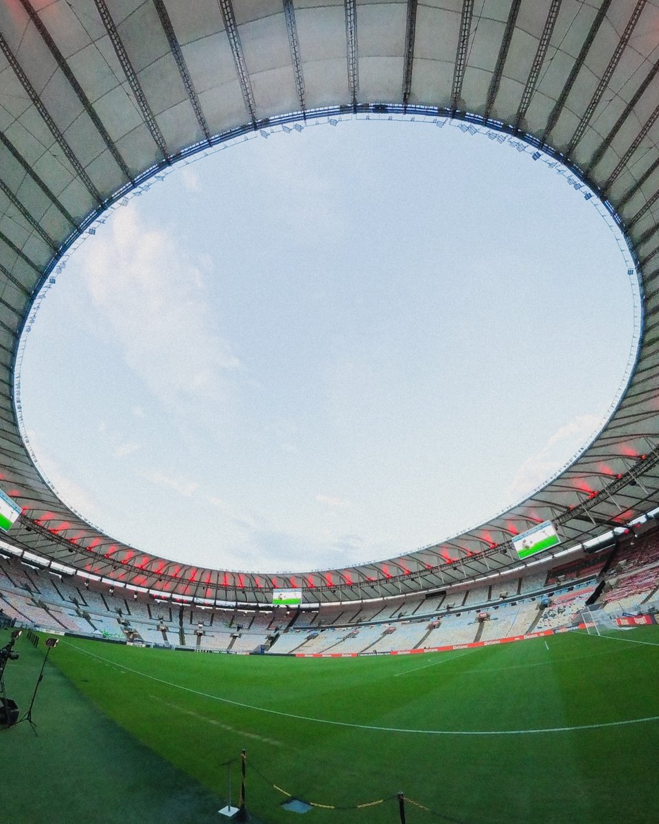 SE Palmeiras tweet media