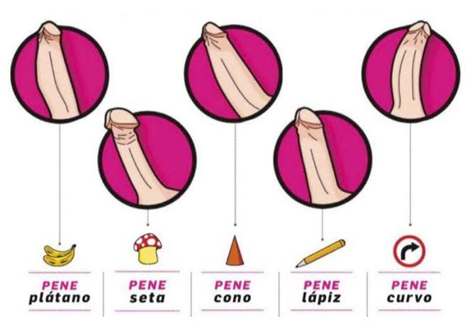 Curiosidad Gay tweet media