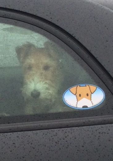 twaniimals's tweet photo. https://t.co/sJ2t2l9LX8