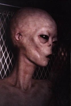Sir__Kam's tweet photo. A possible theory on how the grays get new material to replicate their bodies on Earth is from biological material stolen off humans bodies abducted living or deceased that no one with notice if they are gone. #ufox #UFOSightings #ufotwitter #uap #ufo #ufos #aliens #alien #ovni https://t.co/0HtKcEtwlg