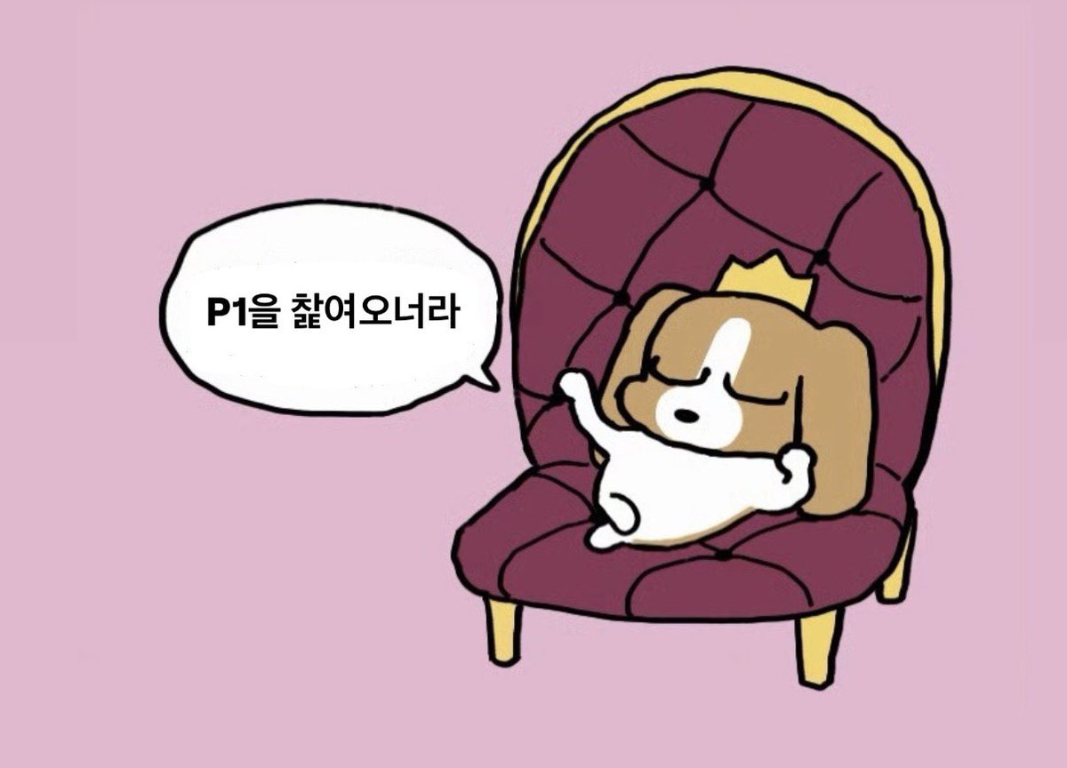 셸 tweet media