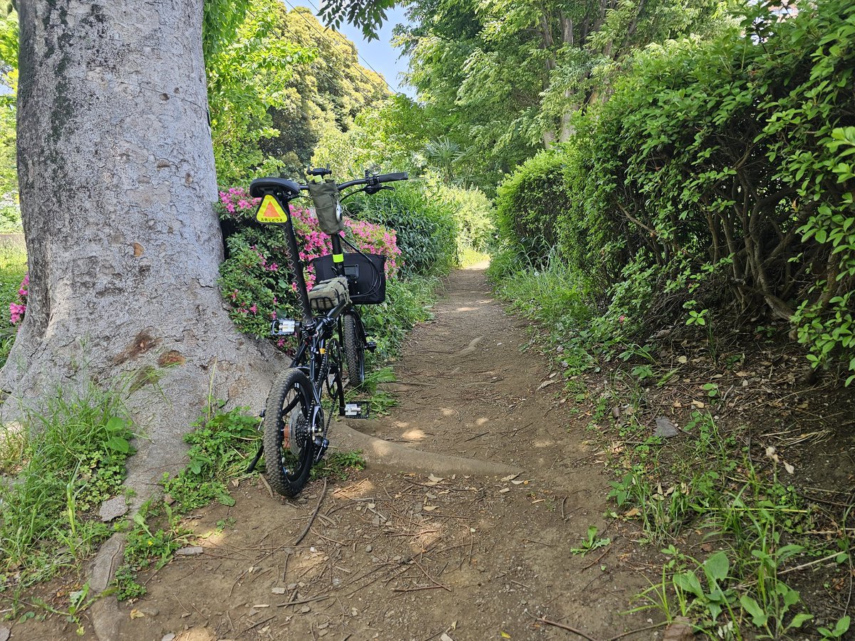 FunkyJijii's tweet photo. どこまで？…どこまでも･･･🚴‍♀️💨 https://t.co/8IEAsbNkhe