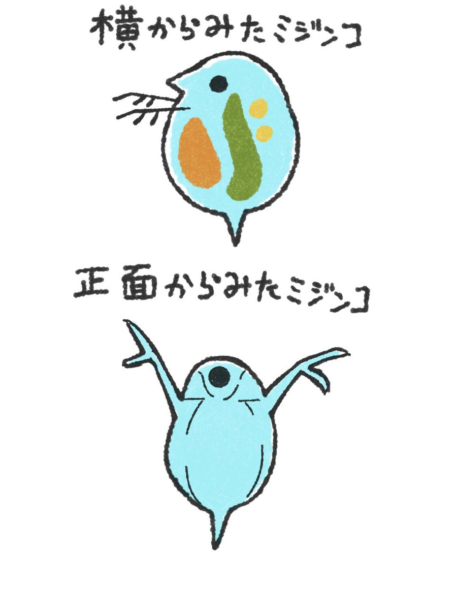 おもち（旧、 鬼灯） tweet media