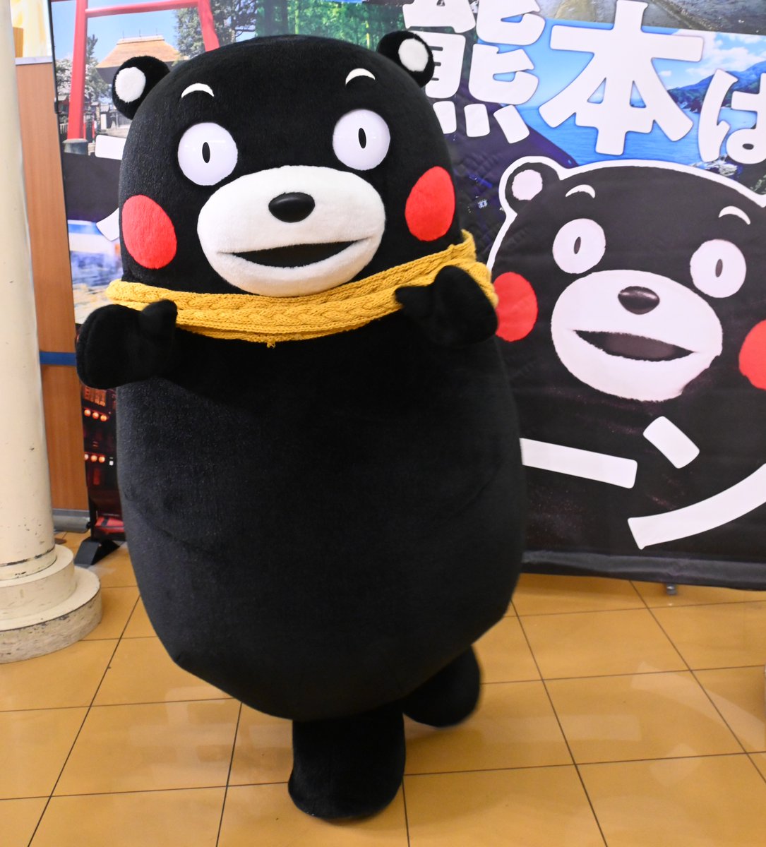 Post by Masashi Taniguchi on X: おはくまです。