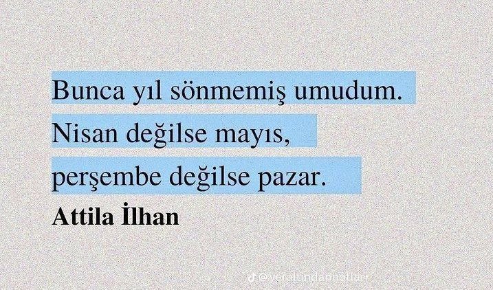 sude tweet media