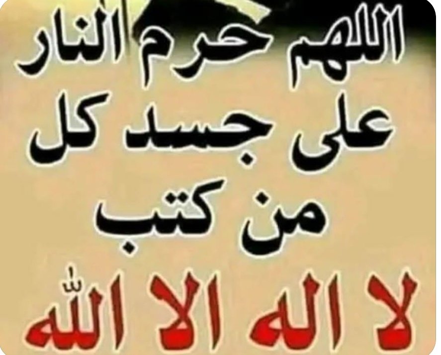 هديل tweet media