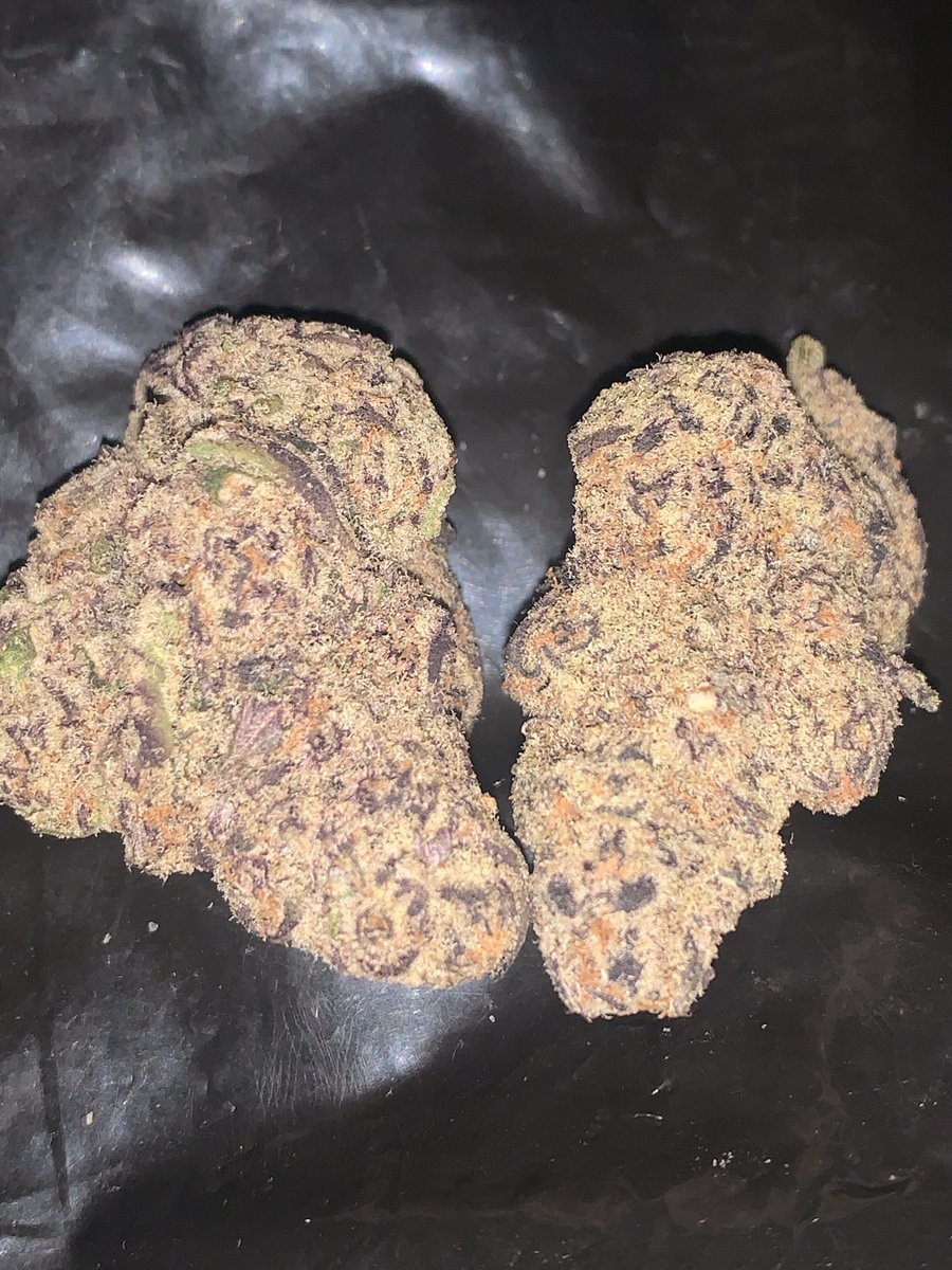 RealTyler_W's tweet photo. 🔥🔥🔥🔥🔥🔥🔥🔥🔥🔥🔥

      MENDOCINO PURPS (INDICA)
                  @TERP_THCA 

🔥 This Mendocino Purps 
🔥 Really is an amazing strain
🔥 When I first got my package
🔥 And i opened it all I smelled
🔥 Was grape and I thought it
🔥 Was the grape flavored lollies
🔥 But I was wrong it wasn’t 
🔥 It was the Mendocino Purp
🔥 The grape smell is so nice
🔥 And you get a woodsy and
🔥 piney smell with it also
🔥 You get a grape taste with it
🔥 and a woodsy pine taste also
🔥 The high is a slightly stronger
🔥 Body high then a head high
🔥 It’s a calming high but not
🔥 A couch lock high or a high
🔥 That will put you to sleep 
🔥 It’s great for during the day

     💚☘️😤💭💭💭

     🤘🔥