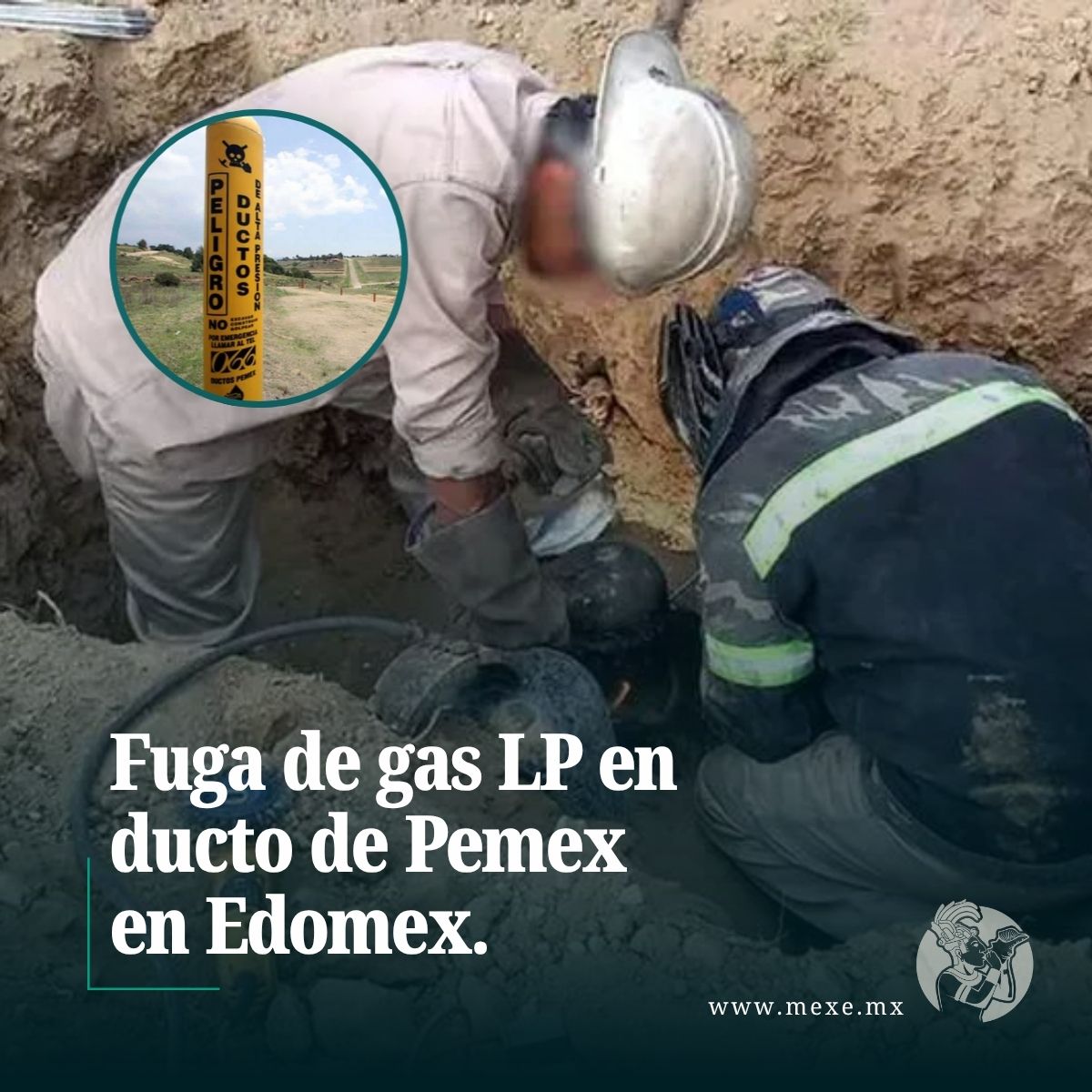 MEXE Media tweet media