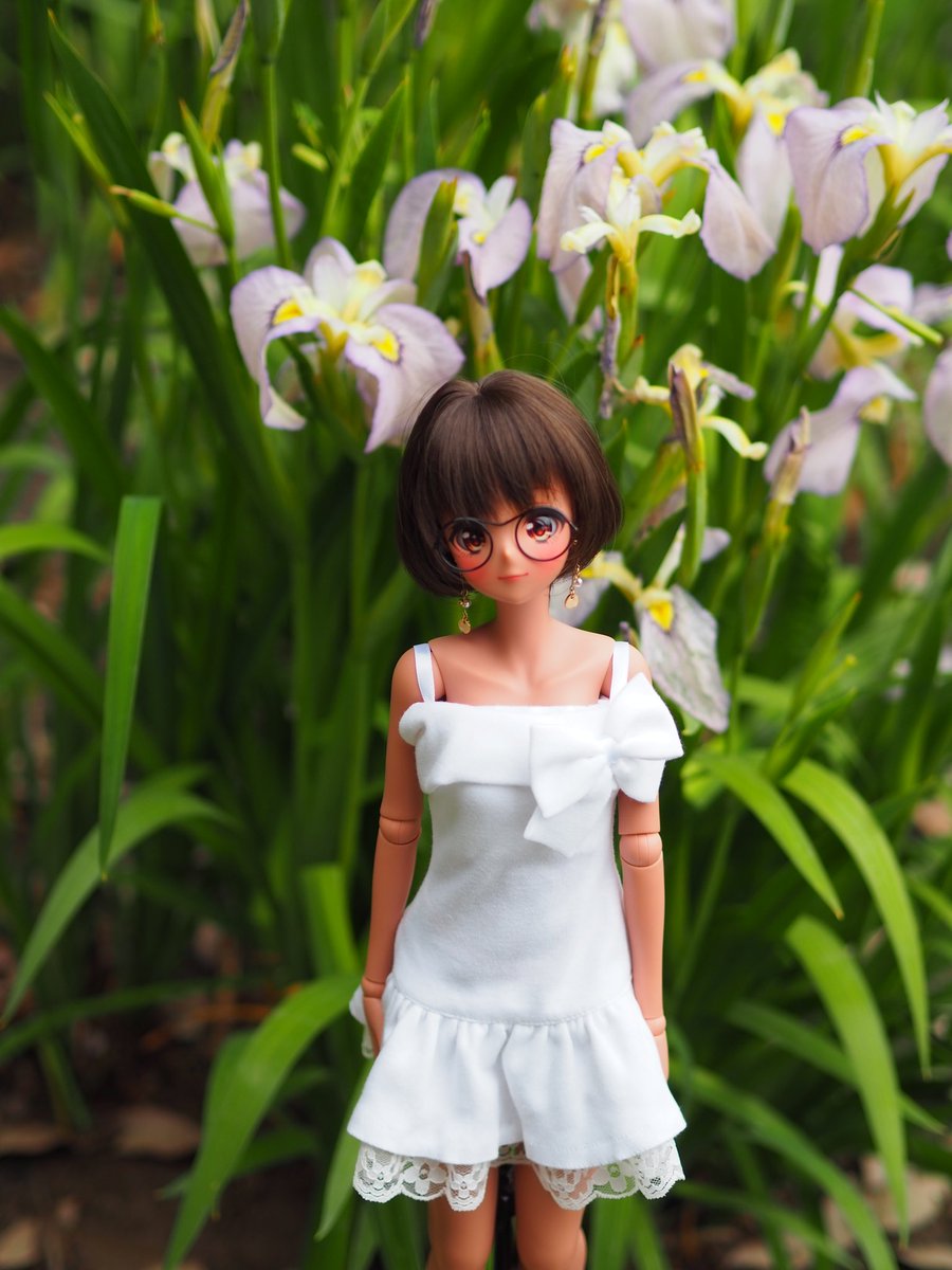 きゅあどる♏♡SMARTDOLL♡”2027/5/30 Nagoya I♡Doll tweet media