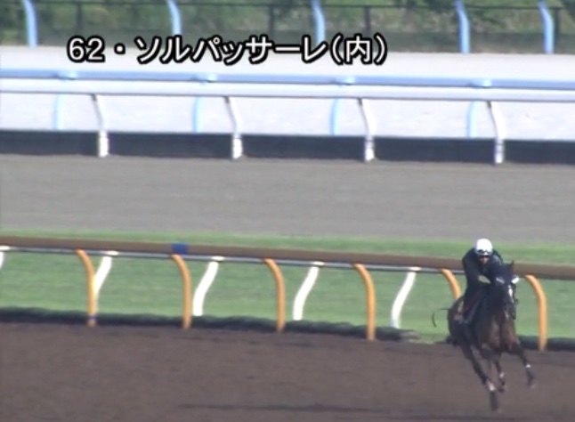 minkel🐖IPPON競馬 tweet media