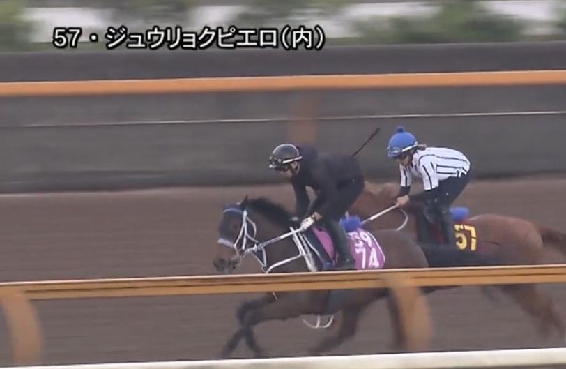 minkel🐖IPPON競馬 tweet media