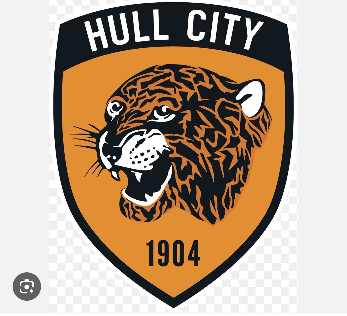 sotonchick's tweet photo. @Boro mauled by the tigers https://t.co/33yPOOQEhO