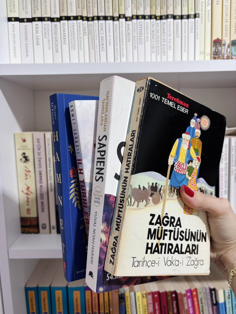 Zülal tweet media