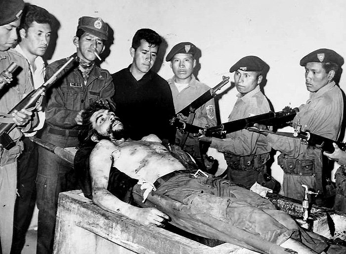 John The Sheep tweet media