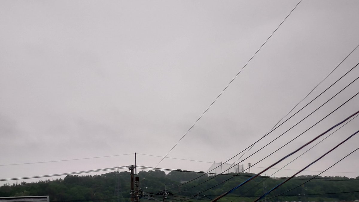 隊長のごんさん(避難中) tweet media