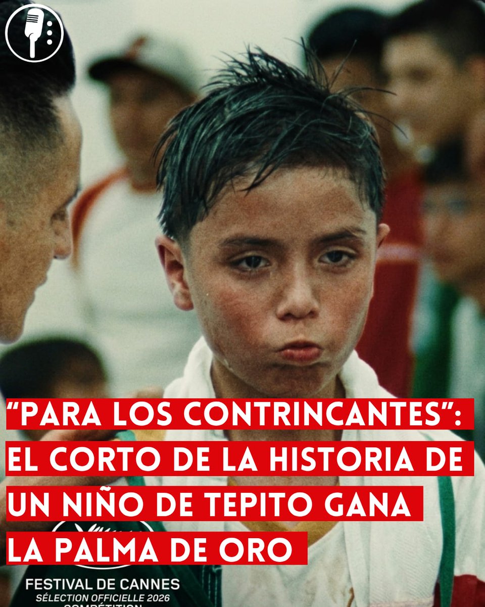 Los Reporteros MX tweet media