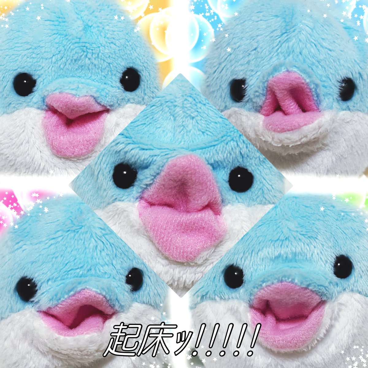 ささやか生活 tweet media
