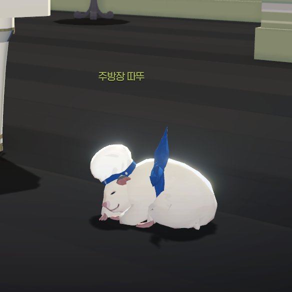 눙코 tweet media