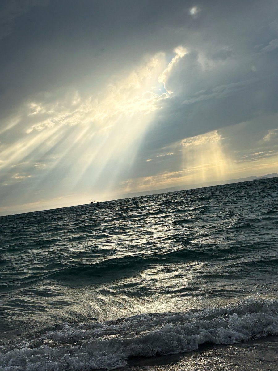 MickyJando's tweet photo. Momentos de paz… https://t.co/CHdEJl4wVk