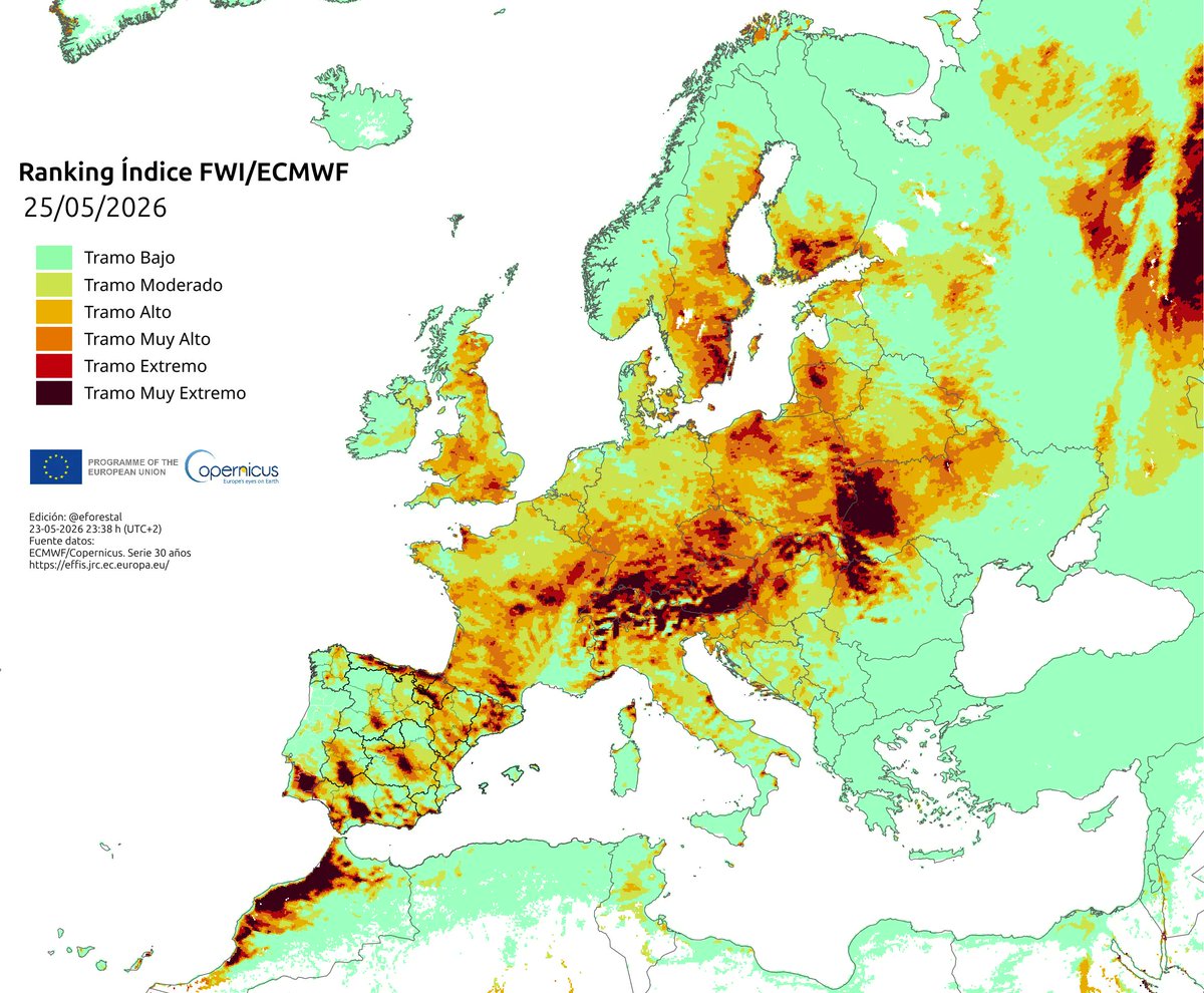 educación forestal🇪🇺 tweet media