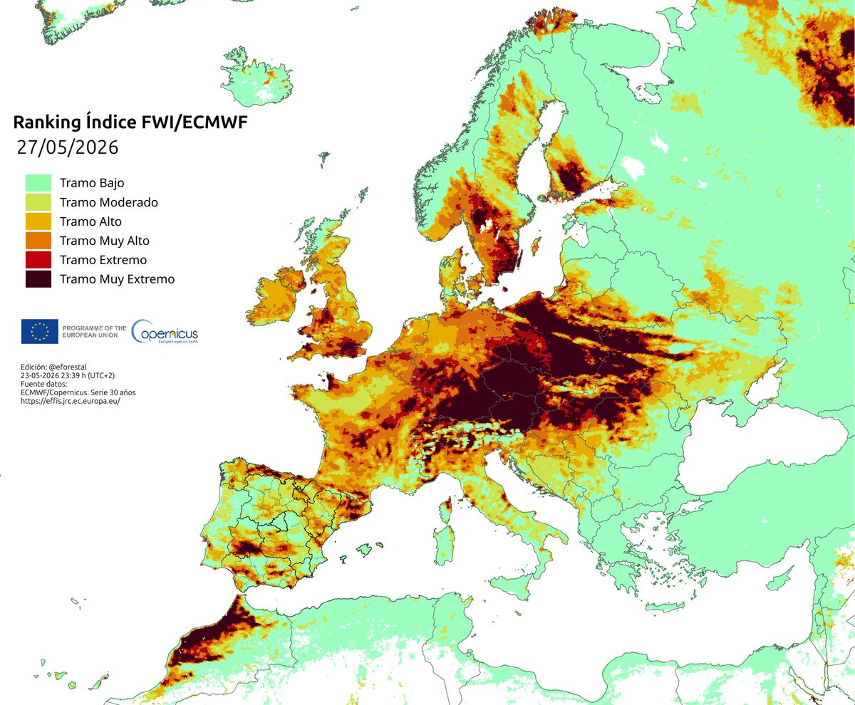 educación forestal🇪🇺 tweet media