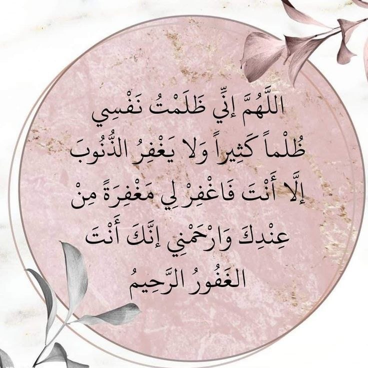 ( حنان قنديل) tweet media
