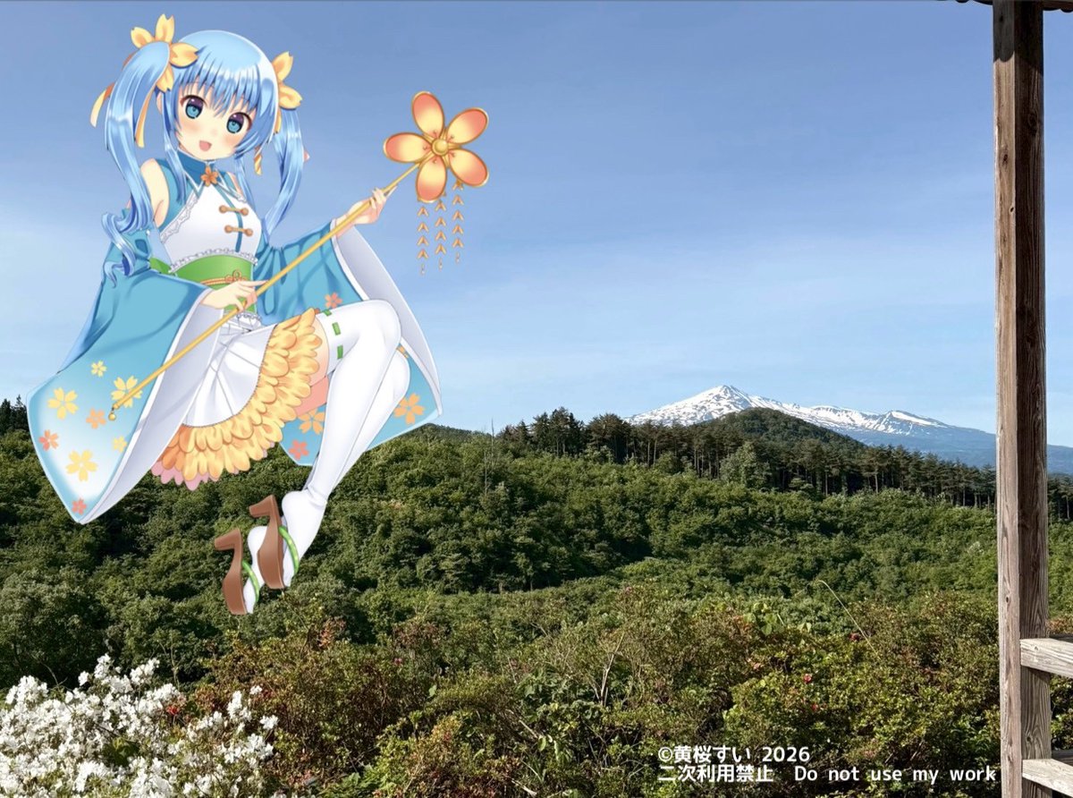 黄桜すい【公式】 tweet media